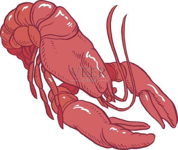 有哪些免費的龍蝦插畫資源？