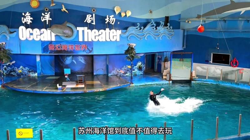 蘇州龍魚水族館怎么樣好玩嗎值得去嗎