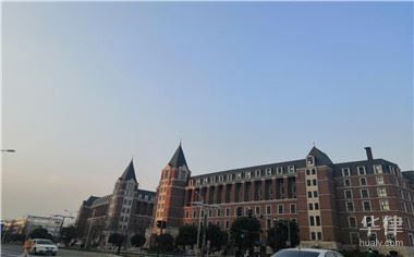 交易野生紅龍魚需要哪些具體文件