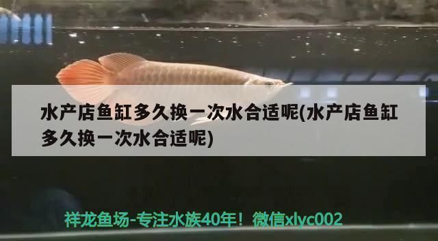 龍魚招財混養需要多長時間換水：龍魚和招財魚混養時的換水頻率需要綜合考慮多種因素