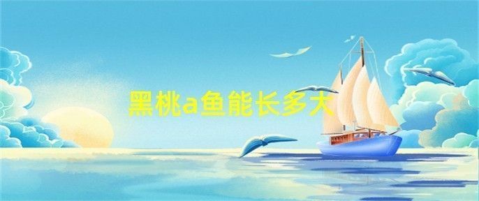 黑桃A魚繁殖環境布置要點，黑桃a魚的繁殖環境布置