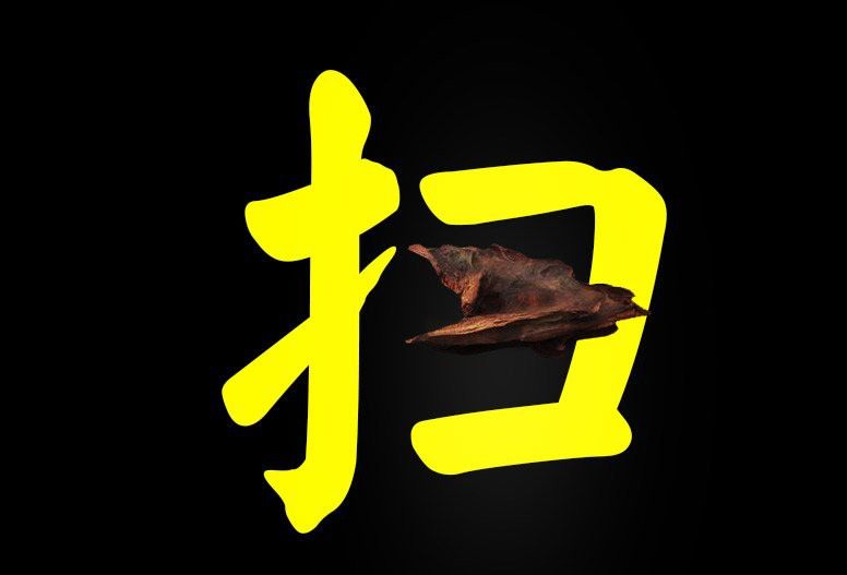 如何為龍魚提供躲避空間？ 如何為龍魚提供躲避空間？ 龍魚百科 第5張