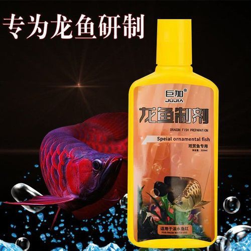 紅龍魚蒙眼