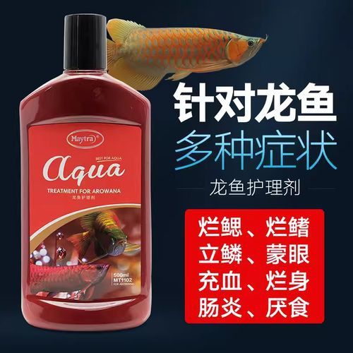 紅龍魚蒙眼