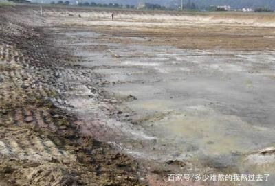 龍魚夜里跳缸：為什么龍魚跳缸都是晚上開口？