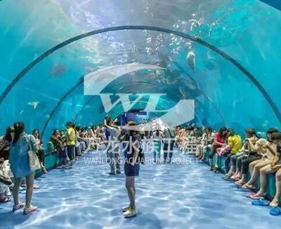 廣州同和街道龍魚批發市場怎么走（廣州同和街道龍魚批發市場）