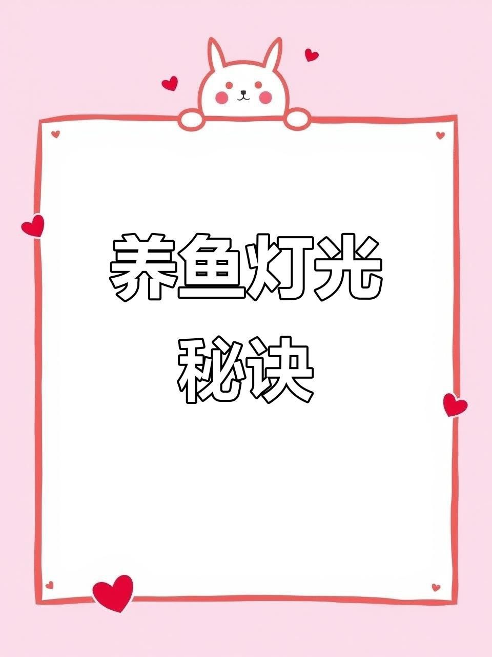 過背金龍發(fā)色需要哪些光照