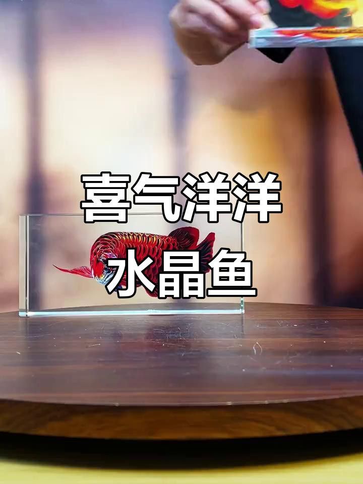紫色水晶龍魚擺件價格如何？