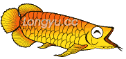大白片被龍魚吃了：龍魚吃了大白片會怎么樣