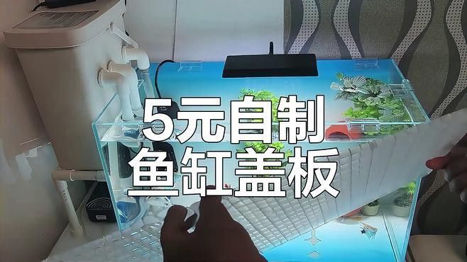 60cm缸如何加裝蓋板