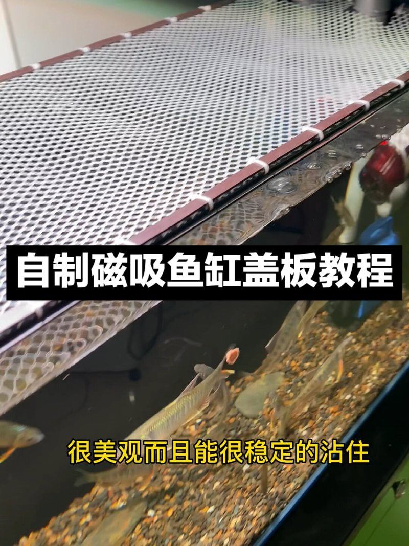 60cm缸如何加裝蓋板