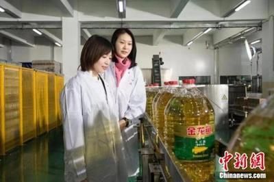 金龍魚北京工廠（金龍魚北京工廠具體地址在搜索結果中未明確提供）