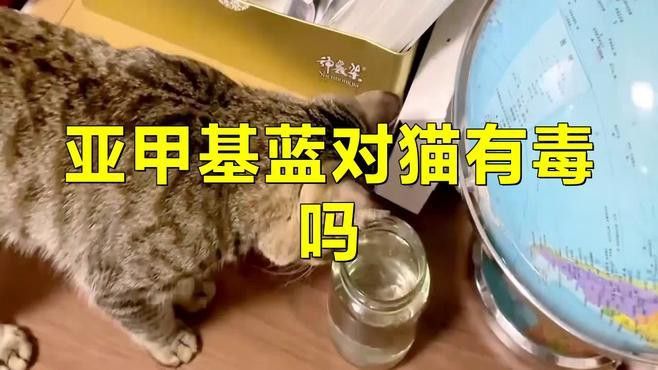 亞甲基藍使用過量如何急救？