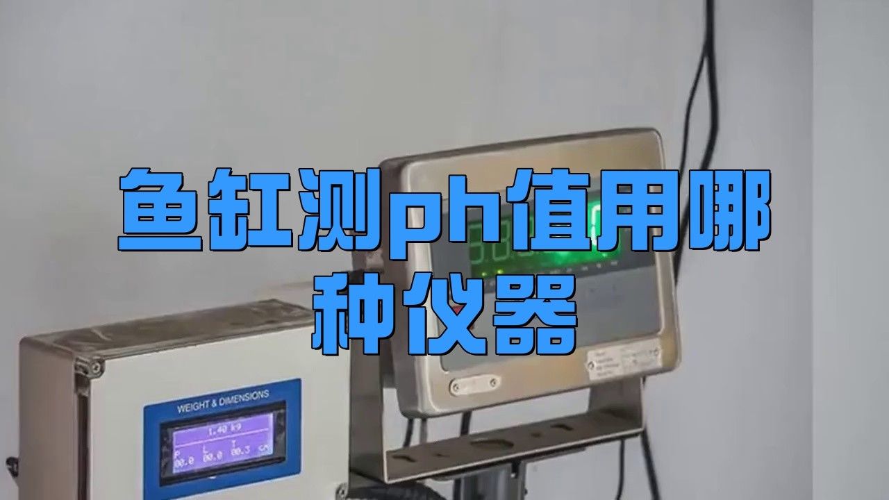 如何保持藍(lán)底金龍魚的水質(zhì)清潔？