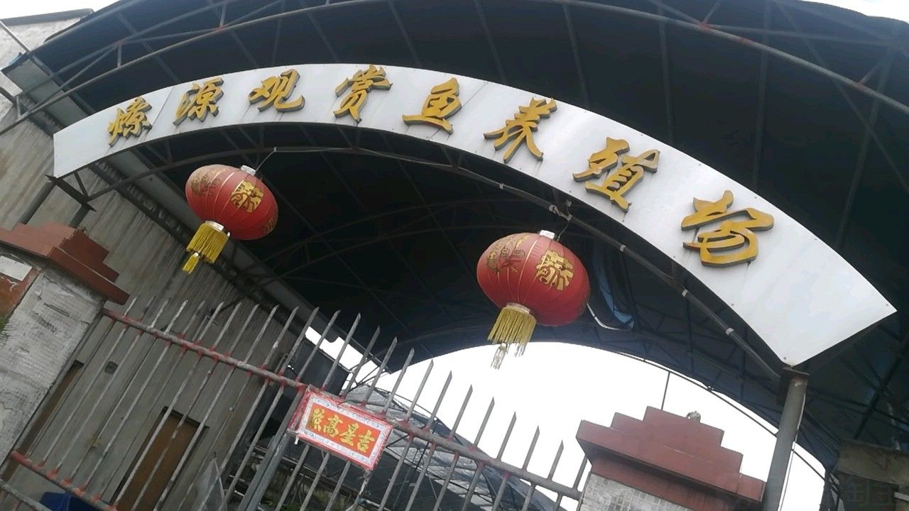 銀龍魚養殖場怎么樣