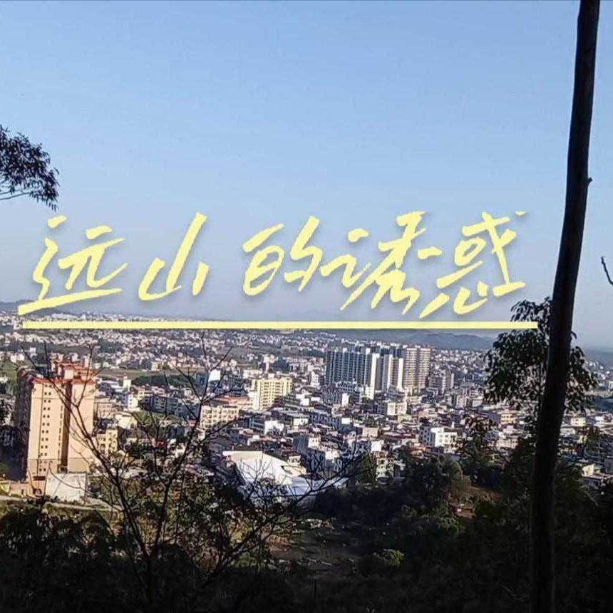 鯨魚暗示男人哪個部位