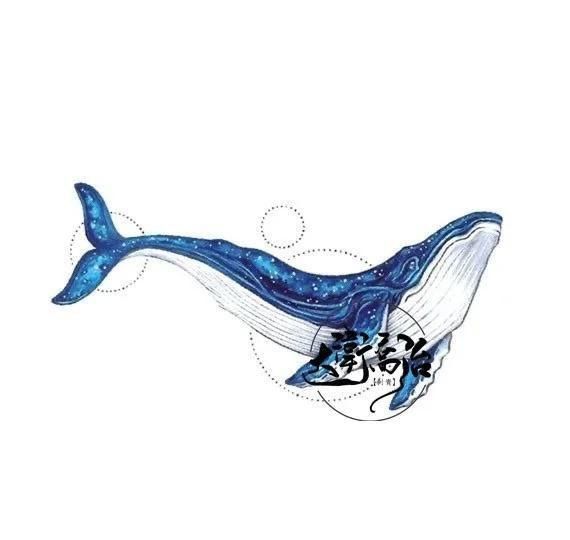 鯨魚暗示男人哪個部位