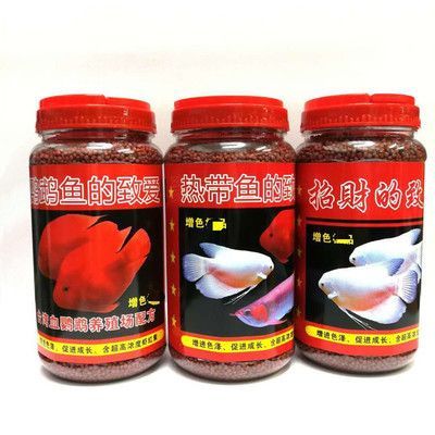 紅龍魚魚苗批發市場電話，紅龍魚魚苗批發市場電話信息