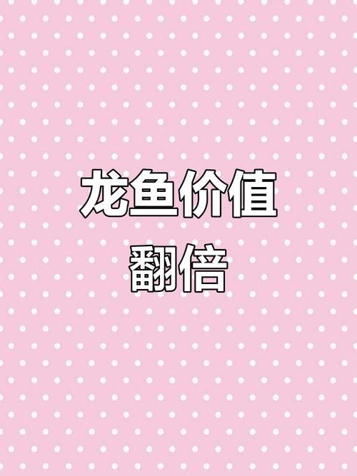 湛江龍魚(yú)價(jià)格表圖片