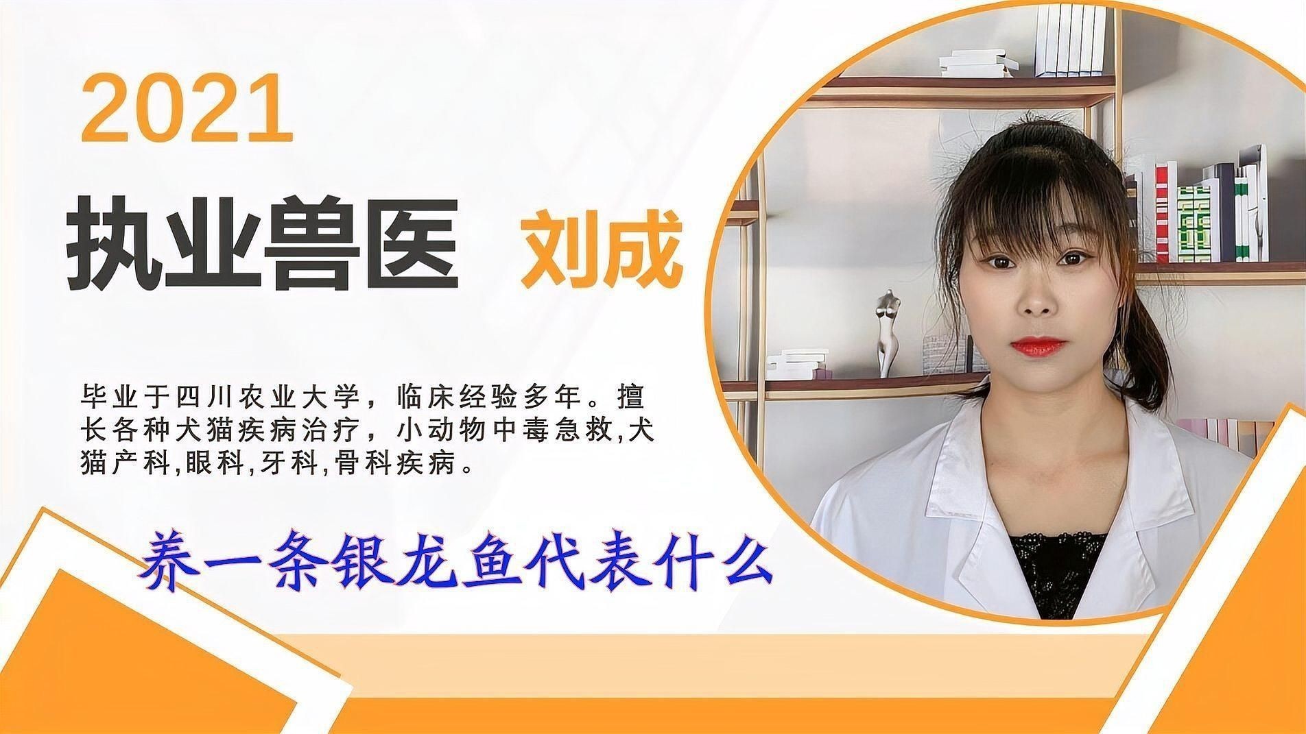 養(yǎng)一條銀龍魚代表什么