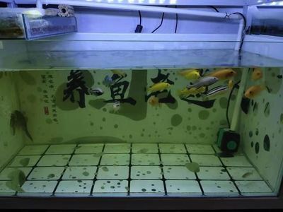 魚缸漏水維修電話北京，北京魚缸漏水維修電話