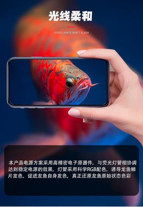 nec龍魚燈怎么看真假