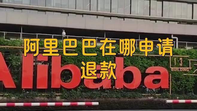 阿里巴巴和金龍魚誰厲害一點