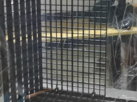 小型雷龍魚缸造景圖片