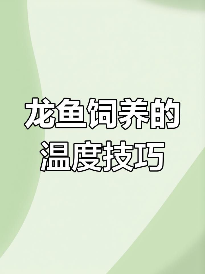 龍魚對(duì)溫度有何要求？