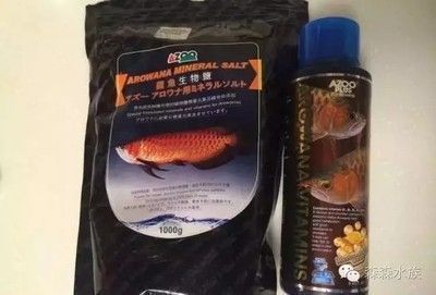 如何判斷龍魚是否缺乏維生素C：如何判斷龍魚是否缺乏維生素c