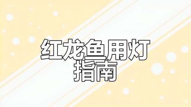 金紅龍魚專用燈