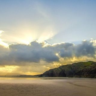 錦鯉一年產(chǎn)幾次卵