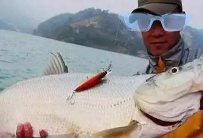 龍魚翹嘴什么情況下開口了