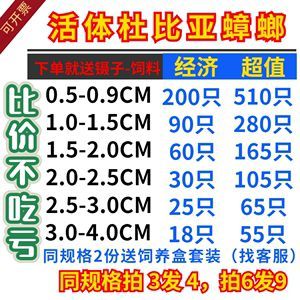 龍魚 飼料喂養時間：龍魚的飼料喂養時間