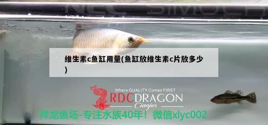 麥肯斯銀版魚常見病癥：麥肯斯銀版魚水質改善方法麥肯斯銀版魚水質改善方法