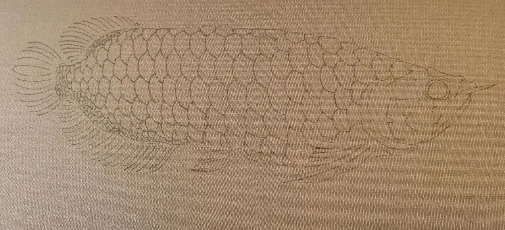 金龍魚簡筆畫圖片