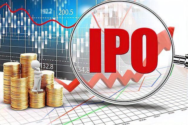 金龍魚和中糧合作涉及哪些產品線？