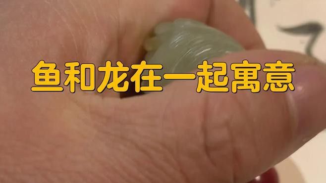 金龍魚混養的最佳搭配