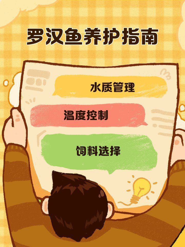 羅漢魚苗怎么養