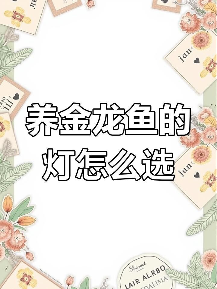 如何判斷過背金龍魚燈的質量？