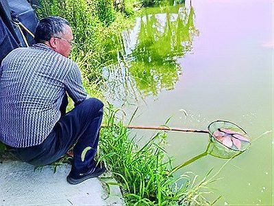 南京龍魚祥龍魚場