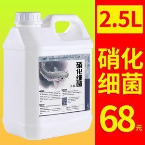 龍魚缸除藻最佳方法是什么：龍魚缸除藻最佳方法