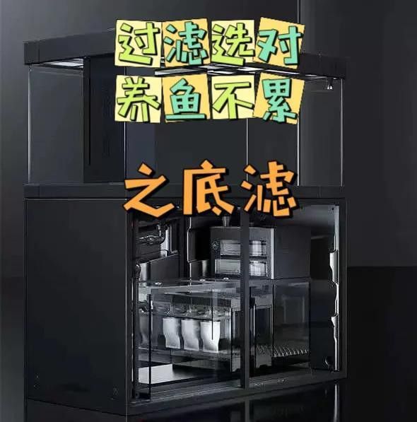 福龍魚需要什么樣的過濾系統？