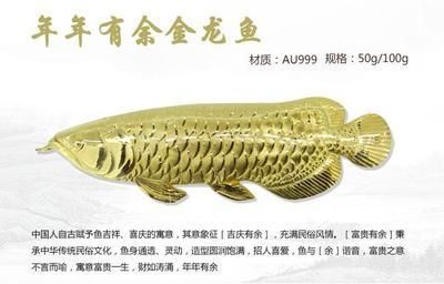 金龍魚(yú)的象征和寓意：金龍魚(yú)在華人眼中吉祥富貴的象征和寓意和寓意