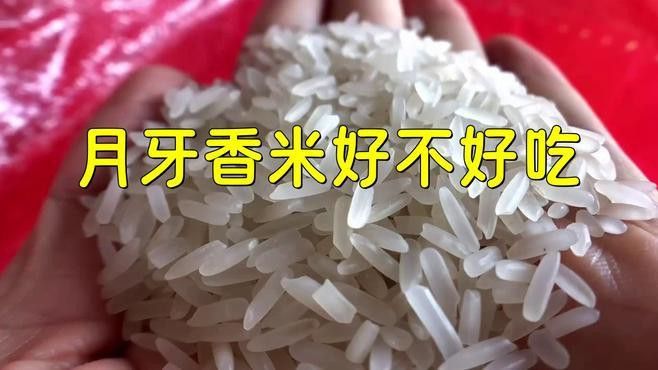 金龍魚月牙香米有哪些優點？