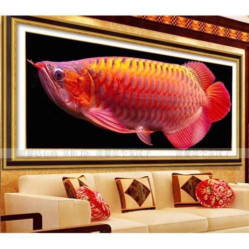 北京紅龍魚哪家好吃又便宜