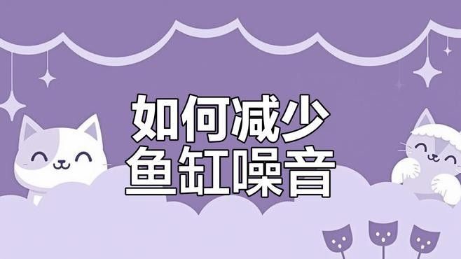 龍魚缸過濾系統的噪音如何控制？
