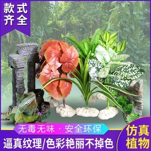 龍魚缸內放置什么植物好（適合在魚缸中養殖的植物有哪些？）