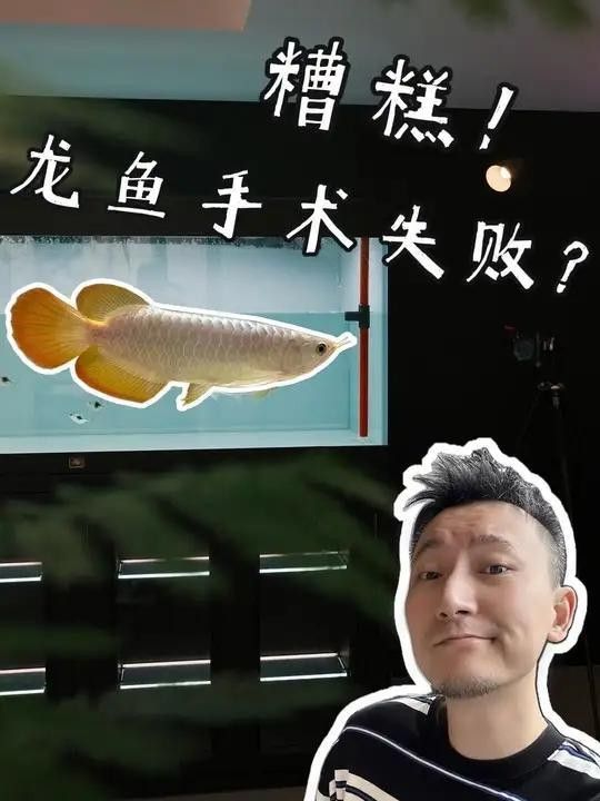 龍魚脫肛后應(yīng)該如何急救？