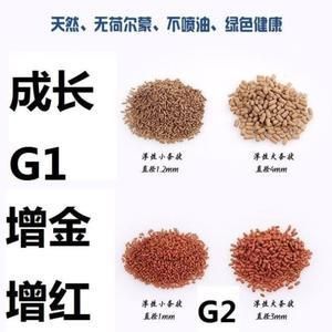 龍魚有病身體會出現什么情況呢：龍魚常見的幾種常見癥狀